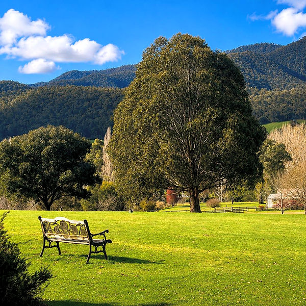 Jamieson Valley retreat  relaxing view 