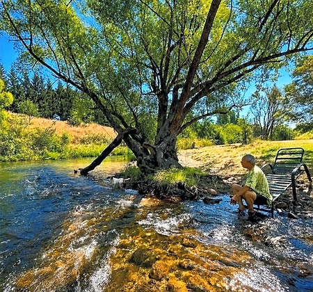 Jamieson Valley retreat  fishing 