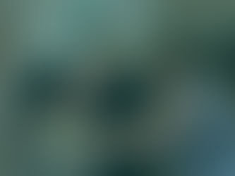 Mesh Integration, Stylist and support