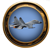 A picture of a token with a Su-27 Jet Fighter.