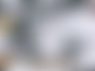 Winter Burrow Review | Harsh Survival, but Make It Cozy