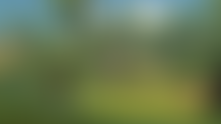 Tales of the Shire: A The Lord of the Rings Game Review | Friends, Fun and Fried Fish for Dinner