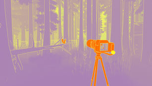 NUTS Review | Tinker Tailor Squirrel Spy