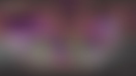 Interview with the Developer of Anatine