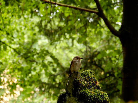 DSCN2795.jpg