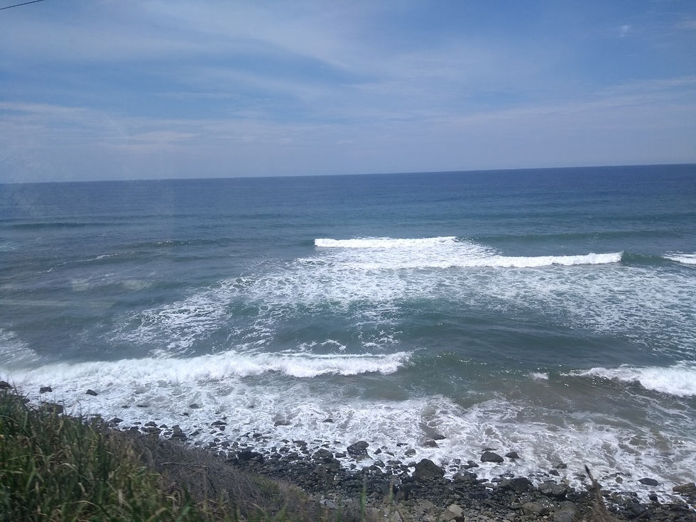 IMG-20200513-WA0159