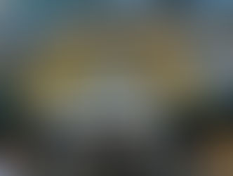 聖地 ”阪神甲子園球場”