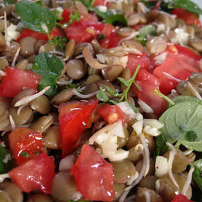 SALADE DE LENTILLES GERMEES