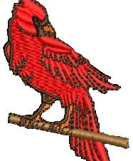 cardinal.jpg