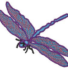 dragon fly.jpg