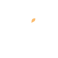 Wix.png