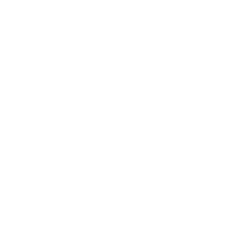 shuttle.png