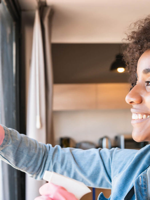 Weekly Cleaning Program for Busy Professionals
