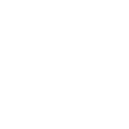 muscle (1).png