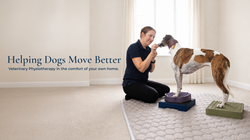 Helping Dogs Move Better-3