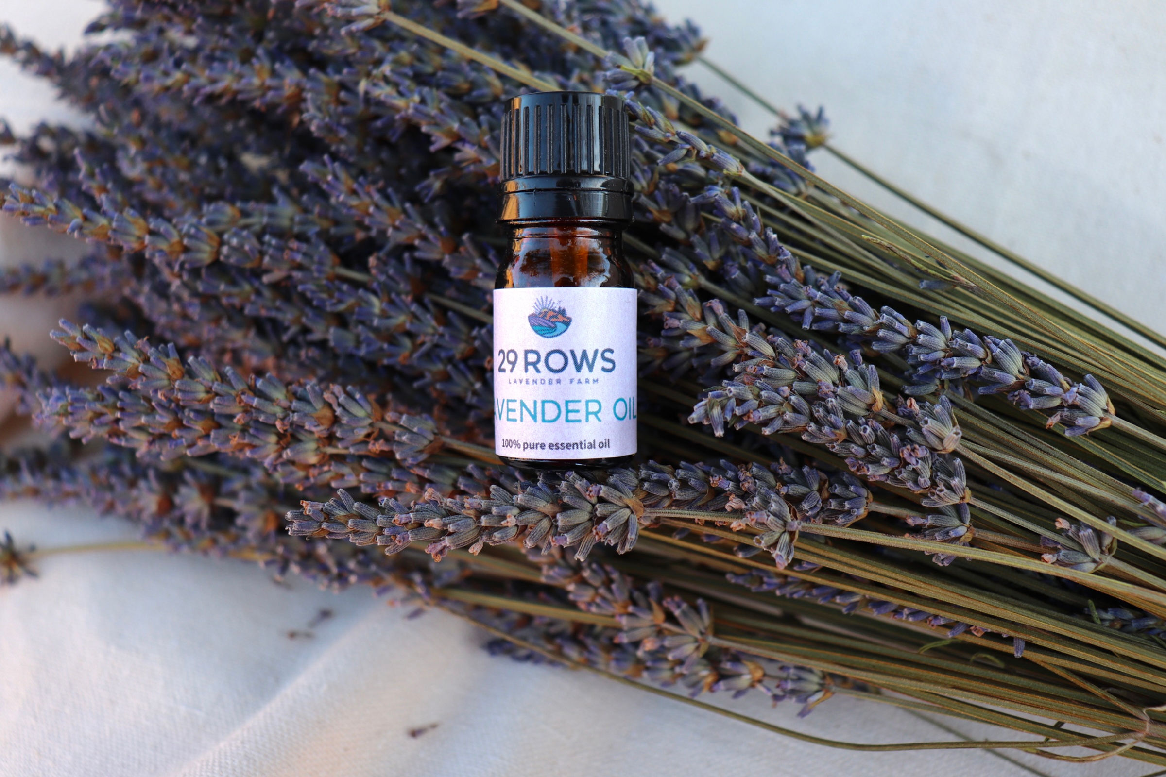 5ml Lavender Oil