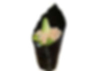 Cone Crabe et avocat