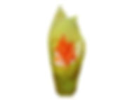 Cone feuille de soja