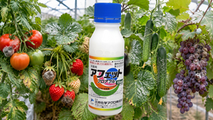 アフェットフロアブルはどうやって使う？─トマト、いちご、なす、きゅうり、ぶどうなどの灰色かび病、うどんこ病、菌核病を防除するアフェットフロアブルの使い方を徹底解説！