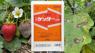 ゲッター水和剤はどうやって使う？─イチゴ、キュウリ、ナス、トマトの灰色かび病、炭疽病、黒枯病を防除するゲッター水和剤の使い方を徹底解説！
