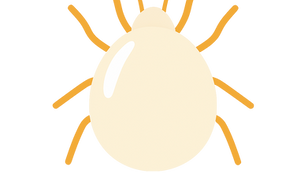 天敵のごちそう 使い方ガイド | スワルスキーカブリダニ編