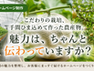 “みんなに選ばれる”農園ホームページ制作 ─ 農園の魅力を、お客様にまっすぐ届けます