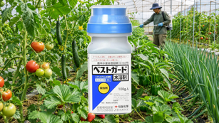 ベストガード水溶剤はどうやって使う？ ─トマト・なす・きゅうり・ピーマン・いちご・ねぎに付くアブラムシ類・コナジラミ類・アザミウマ類を防除するベストガード水溶剤を徹底解説！