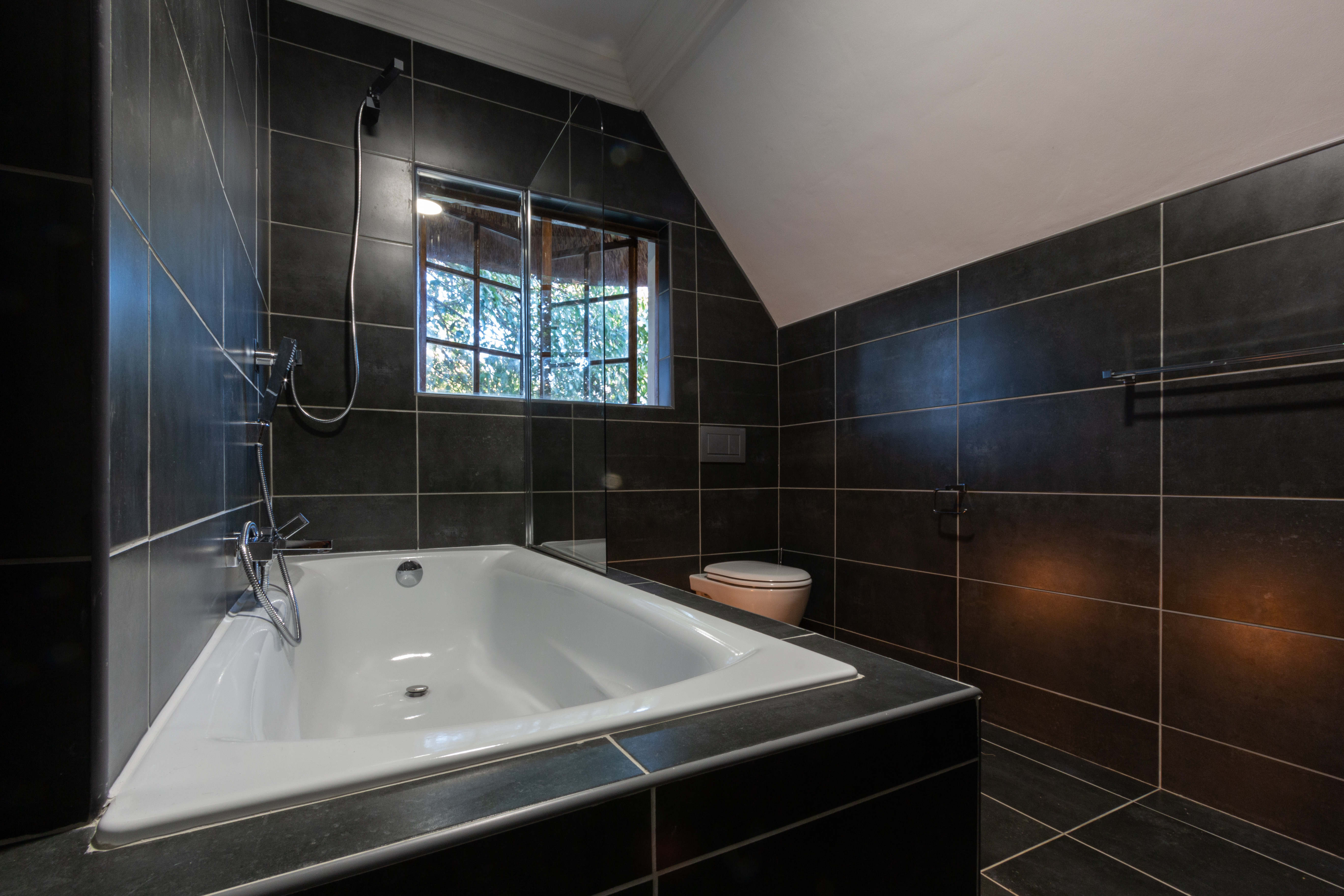 Bathroom Image 5 Mr. Grunewald