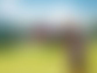 Está chegando Novo Reality na Record TV A ILHA será apresentado por Sabrina Sato