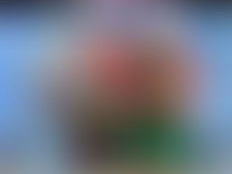 Vem com a gente!!!Enel, Segunda edição da “Vila Encantada de Natal” chega a oito municí