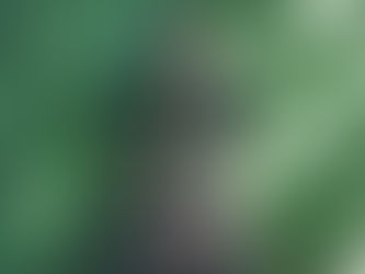 Jovem talento, Dani lança seu primeiro single ‘No seu mundo’ Composta pelo artista, músi