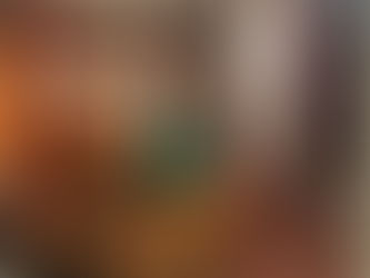 Dani Goulart recebe convidados e Assina vitrine Todeschini e conta novidades para nós!