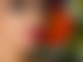 Final de semana é dia de Diversão que tal curtir show da Ana petkovic que vai abrir para Frejat, Bli