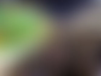 Exs BBBs, Gustavo Bárbara e Maroca entre outros Famosos curtem noite na sapucai.