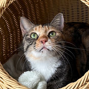 IMG_6156 2_edited.jpg