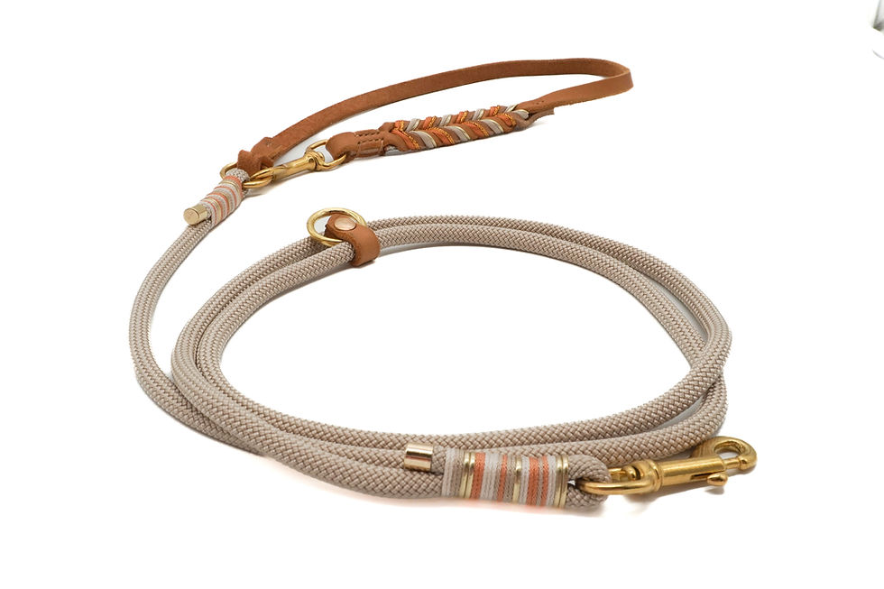 Miniaturbild: GINGER