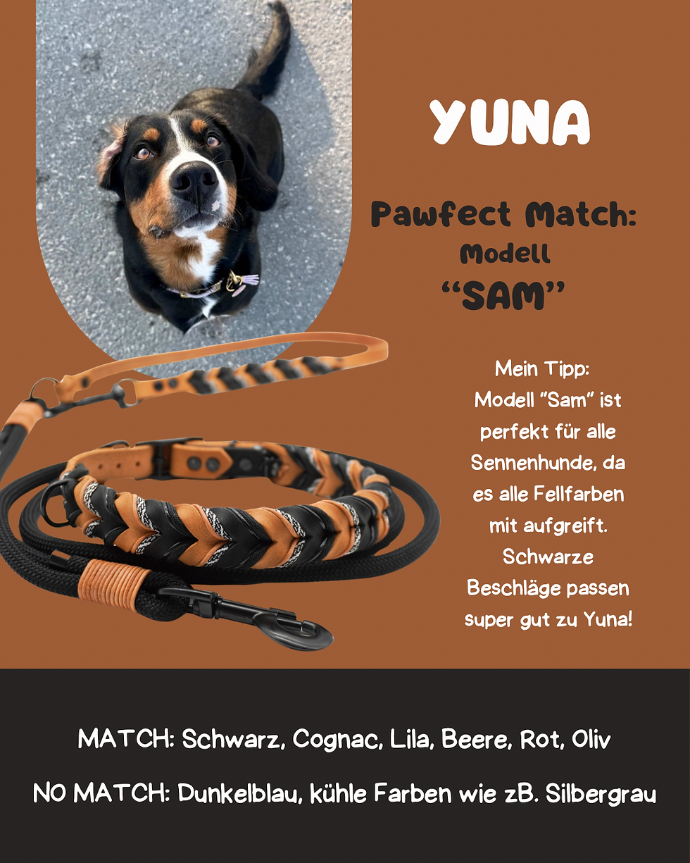 Miniaturbild: PAWFECT MATCH Fettlederset