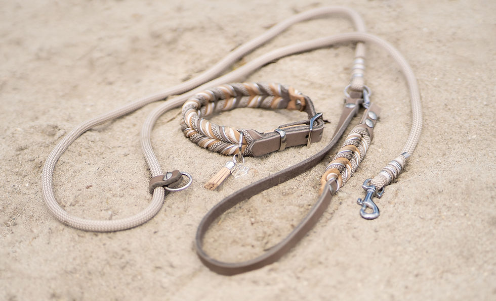 Miniaturbild: Desert Dog Days