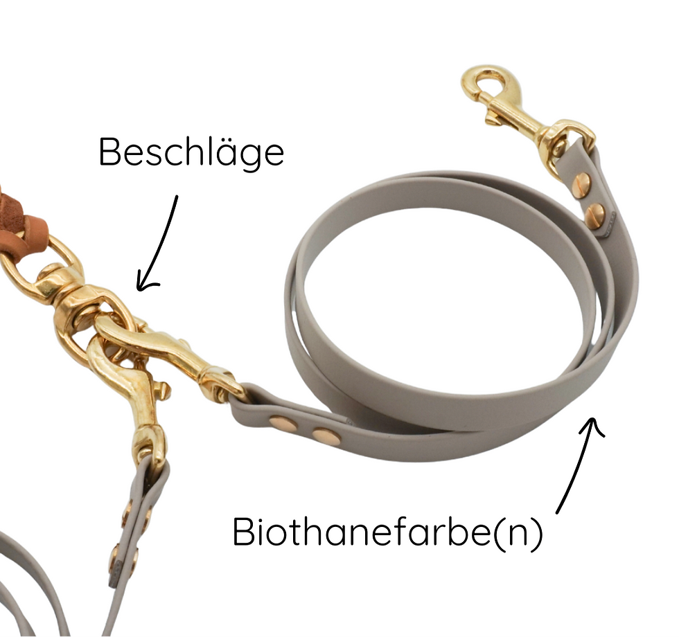 Miniaturbild: Biothaneleine für Mehrhundeleine