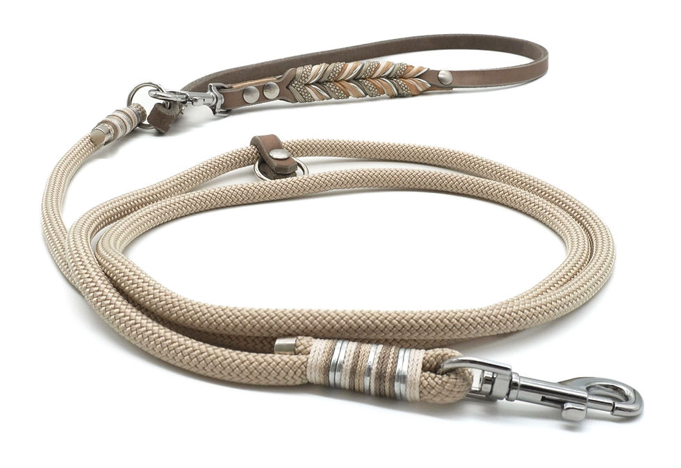 Miniaturbild: Desert Dog Days