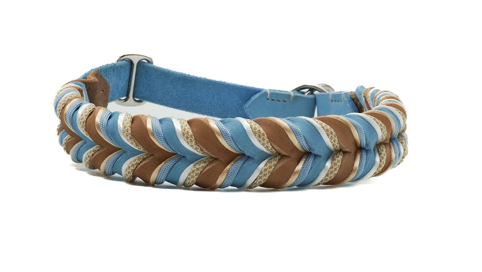 Miniaturbild: SALTY SNOUTS