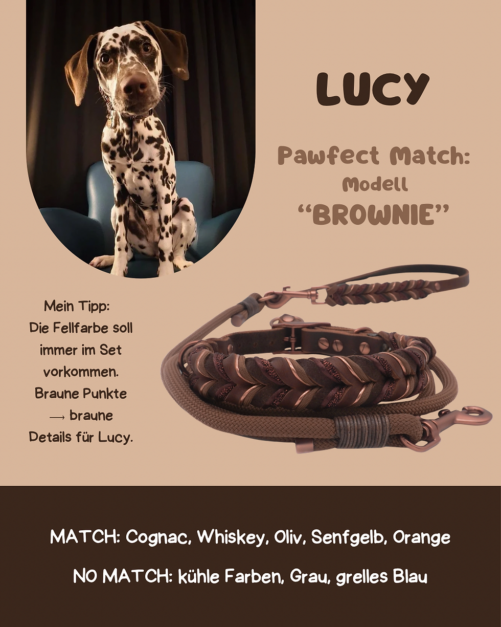 Miniaturbild: PAWFECT MATCH Fettlederset