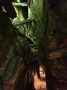 20200730_111740.jpg