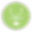 ancorar logo verde