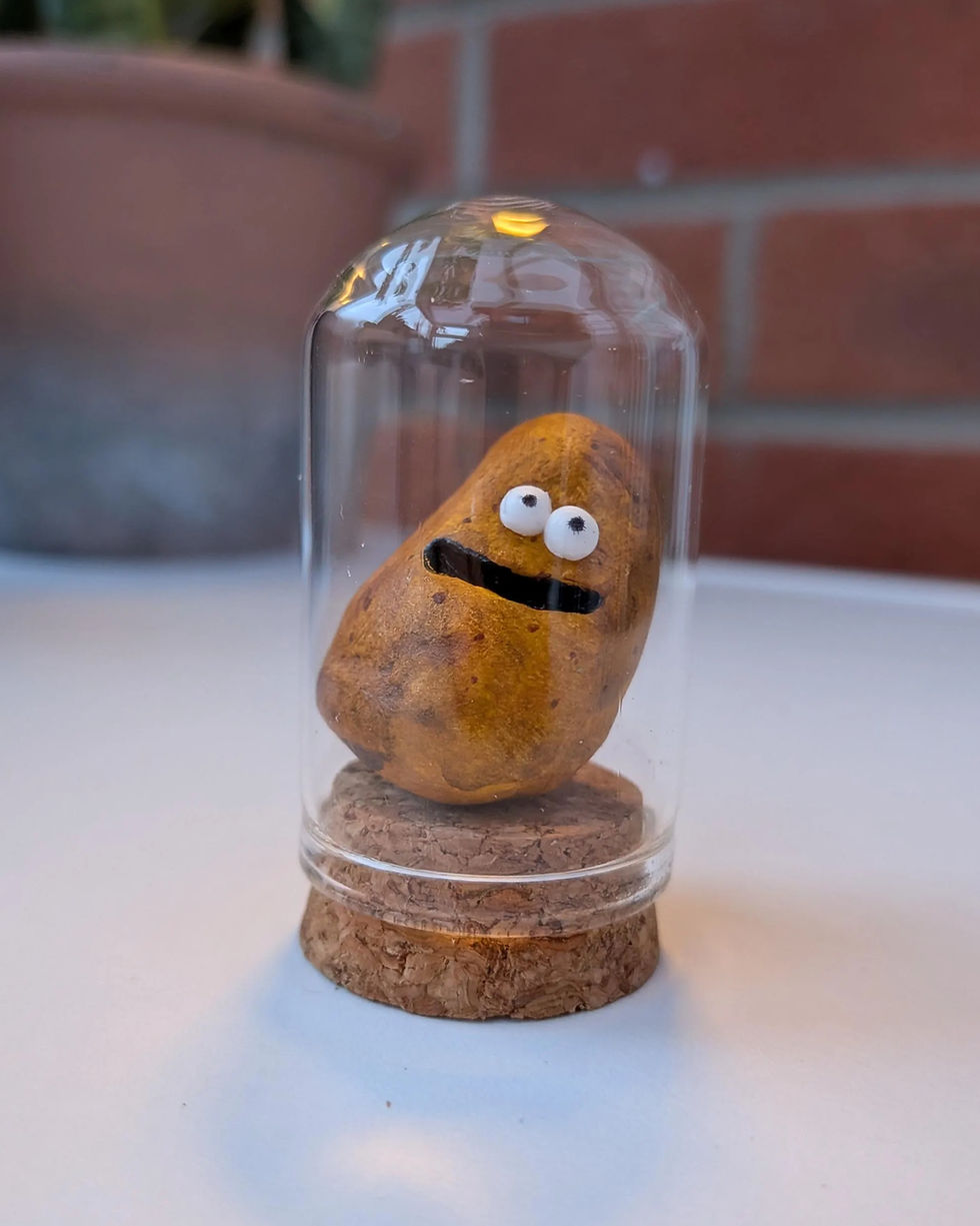 Miniature potato with googly eyes inside a glass dome jar on a cork base