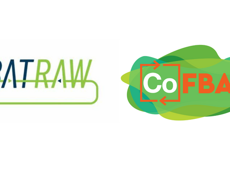 CoFBAT and BATRAW: collaboration of H2020 projects