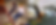 Image-empty-state.png