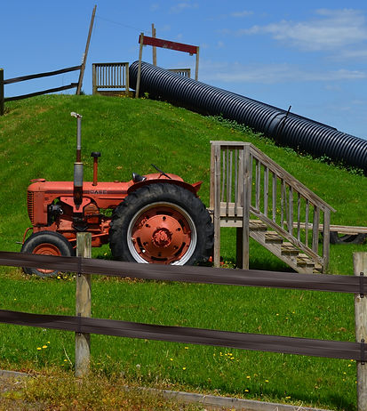 DSC_2150.JPG