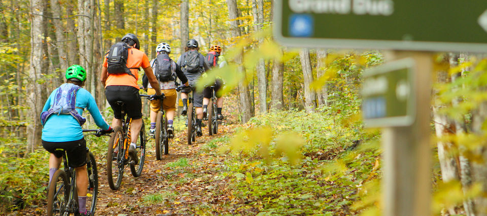 Directrice des opérations