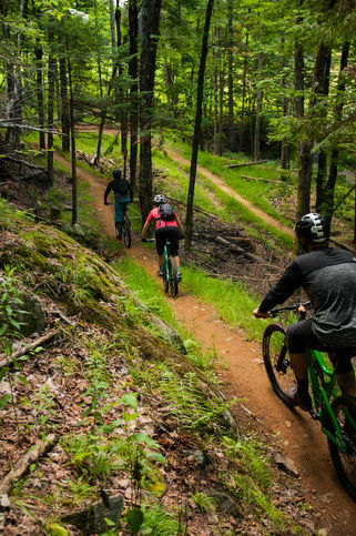 Directrice des opérations